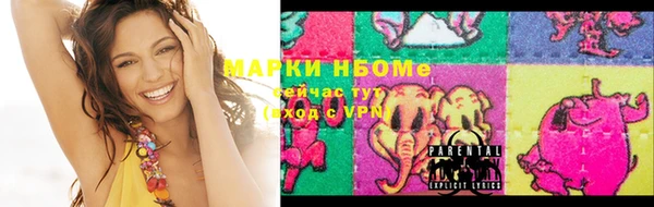 мдпв Ельня