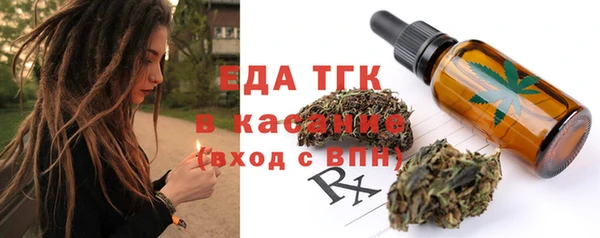 индика Елабуга