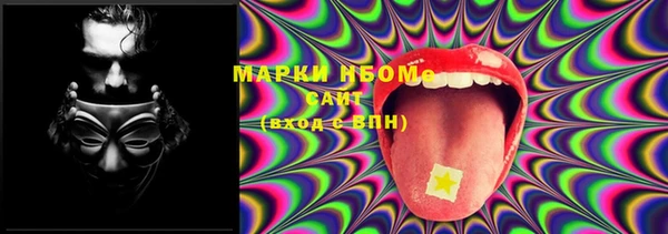 индика Елабуга