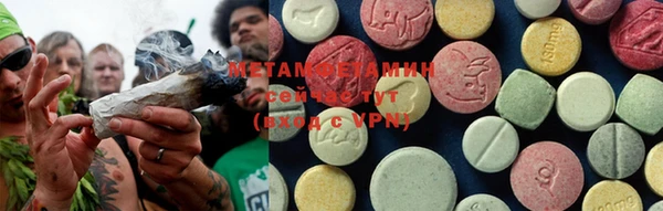 индика Елабуга