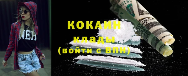 индика Елабуга