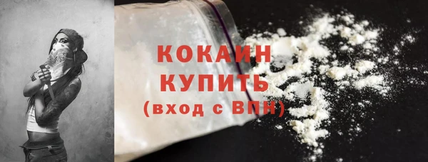 мдпв Ельня