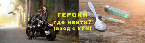 индика Елабуга