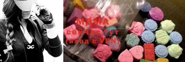 мдпв Ельня