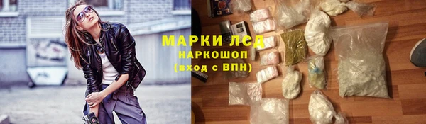 индика Елабуга