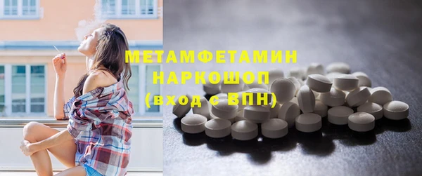индика Елабуга