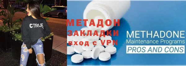 мдпв Ельня