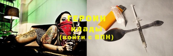 индика Елабуга