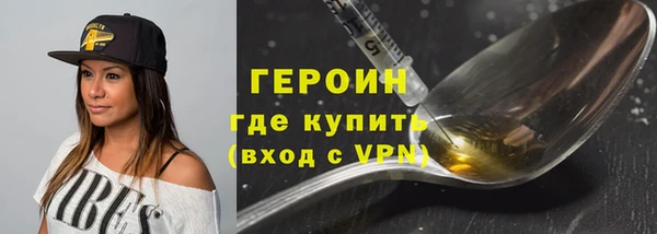 мдпв Ельня