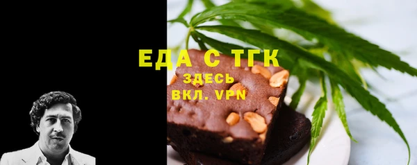 мдпв Ельня