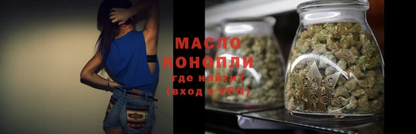 мдпв Ельня