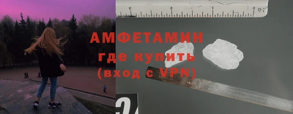 мдпв Ельня
