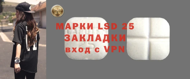 индика Елабуга