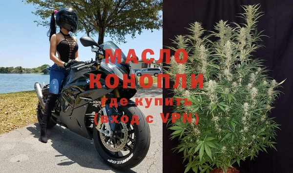 мдпв Ельня