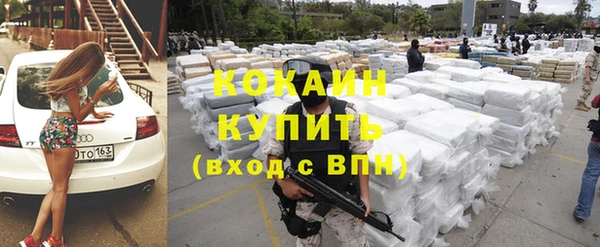 индика Елабуга