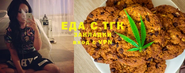 мдпв Ельня