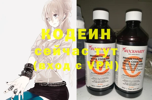 индика Елабуга