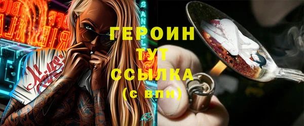 мдпв Ельня