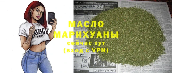 мдпв Ельня