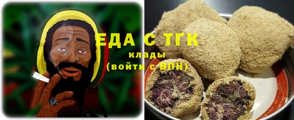 индика Елабуга