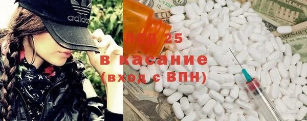 индика Елабуга