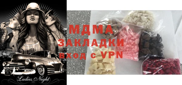 индика Елабуга
