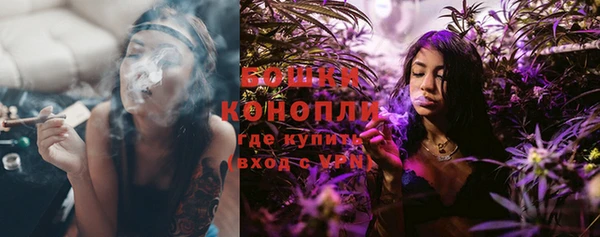 мдпв Ельня