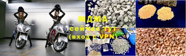 индика Елабуга