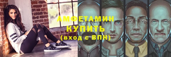 индика Елабуга