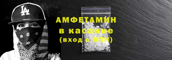 индика Елабуга
