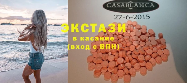 мдпв Ельня