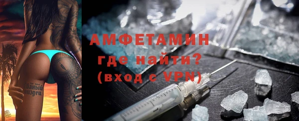 мдпв Ельня