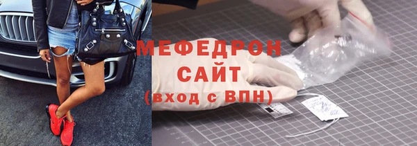 индика Елабуга