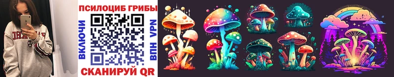 Галлюциногенные грибы Cubensis  ОМГ ОМГ зеркало  Волоколамск  цена наркотик 
