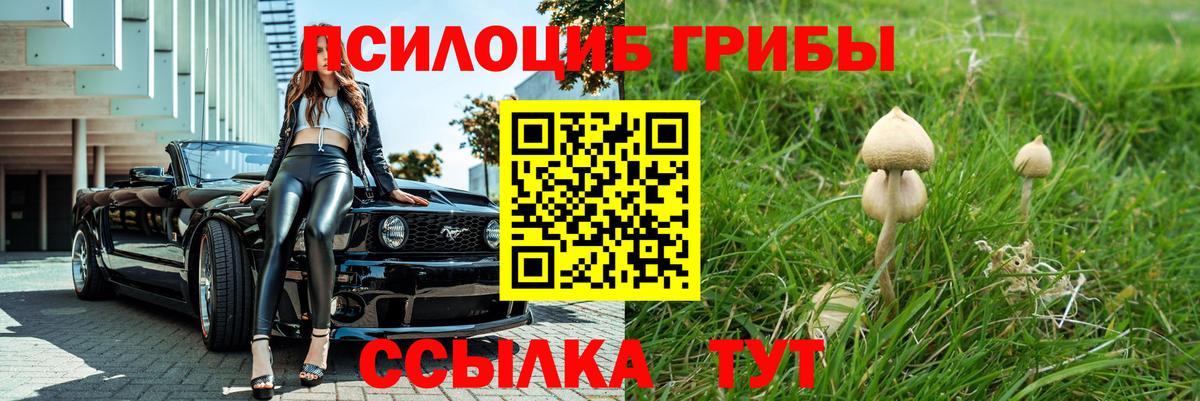 Волоколамск  Псилоцибиновые грибы GOLDEN TEACHER  Вход с VPN 